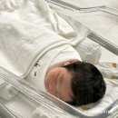 강서리 | P31. 강서 리베산후조리원 후기 3일차, 4일차