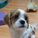 원천공원 이미지