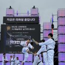 용인대 금메달 태권도 이미지