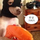 다행복치과 | 2025