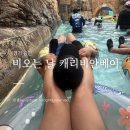 제비오는날 | 비오는날 캐리비안베이 후기, 셔틀버스 예약부터 준비물까지 총정리