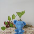 도연공인중개사사무소 이미지