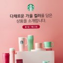 시즈널컵 이미지