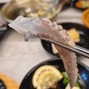 섬마을바다 | 섬마을 부천점 부천중동맛집 부천중동횟집 부천맛집 솔직후기