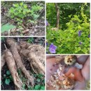 한철농장 이미지