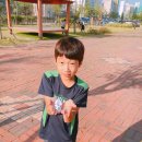 용인대 꿈누리 태권도 이미지