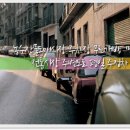 주정차-16 이미지