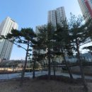 의료법인 석영의료재단 이미지