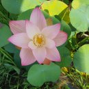 미르부동산공인중개사사무소 이미지