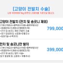 다루동물병원