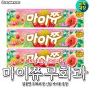 마이쮸 이미지