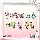 갈마 전자담배 멀티샵(갈마2동점)