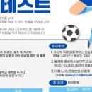 볼레미디어
