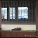 엘리트 당구장 이미지