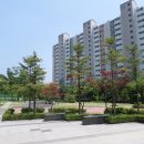 영통로26번길 네이버블로그