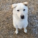 오늘도 즐겁개 이미지