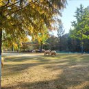 인천목장 이미지