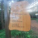 삼성약수터 이미지