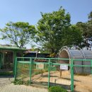 북치농장 | 2025 곡성기차마을 놀이공원 &amp; 장미축제 입장권 정보｜아이와 놀거리 가득한 봄 여행지 추천