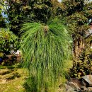 낙동강변25 이미지