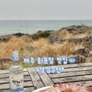 제주도회수산 | [제주/한림]제주도 한림•애월•협재 회포장 맛집 ‘경성수산’🐟강추 후기✨인생활어회
