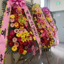 빌라레 이미지