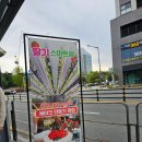 이랜드 PEER 둔산 | [대전/아이와 가볼만한곳] 도심 속 초록 힐링, 스마트팜 체험 방문기