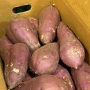 상우농산 이미지