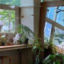 감성커피 하남미사점 이미지