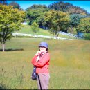 옥경목장 이미지