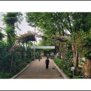 면목체육공원 이미지