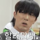 쓰담쓰담해줄개 | [카페] 사모예드와 함께하는 겨울이 머무는 집 후기 / 가나디들로 타이레놀 없이 두통 치유함...