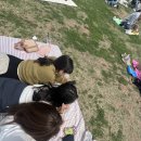 노들섬노들노들피크닉 네이버블로그