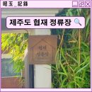 제주도게스트하우스협재정류장 이미지