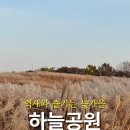 평화의공원 주차장입구 횡단보도 맞은편 | 서울 가을 여행 코스 추천, 하늘공원 억새 풍경과 주차 팁 정리