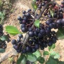 해풍농장 이미지