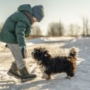 고등동물병원 이미지