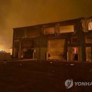 (주)로즈웨이 이미지