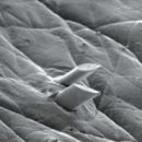 더3.0피부과의원 이미지