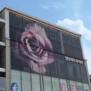 논현로11길 16-11 이미지