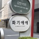 화기애애플라워&플랜트