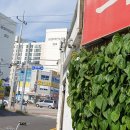 송정이발관 네이버블로그