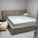 [공지] 고양이 집사 신혼부부 침대 내돈내산(슬립퍼 시크, 시그니처 커스텀 매트리스)