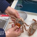 울진유통 이미지