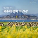 문화택시㈜ | 대외활동 :: 🇰🇷 제주교통공사 및 교통약자지원센터 인터뷰 스케치 | 대학혁신지원사업 ‘글로벌...
