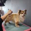 은정학원