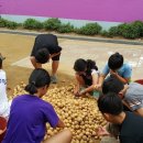 음봉초등학교 이미지