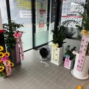 강릉카케어 이미지
