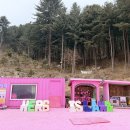 핑크트리 이미지