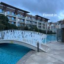 모실 수영장 이미지